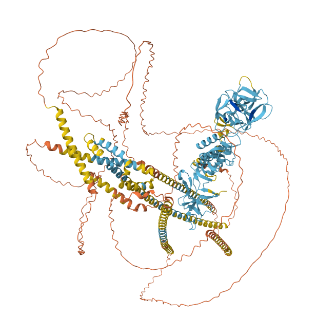 protein 1