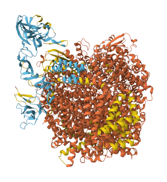protein 2