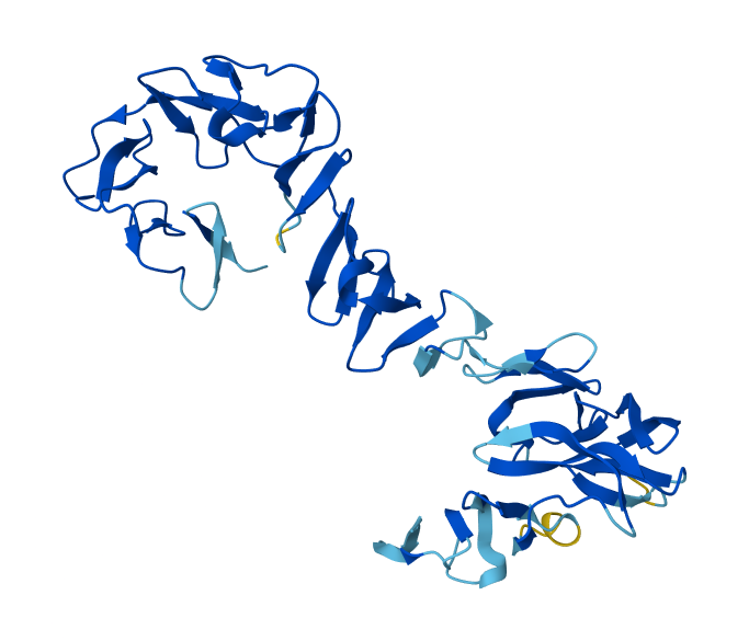 protein 4